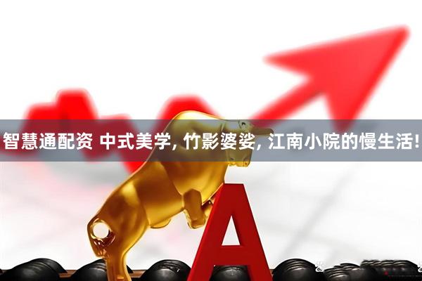智慧通配资 中式美学, 竹影婆娑, 江南小院的慢生活!