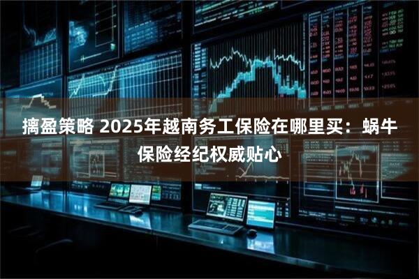 摛盈策略 2025年越南务工保险在哪里买：蜗牛保险经纪权威贴心